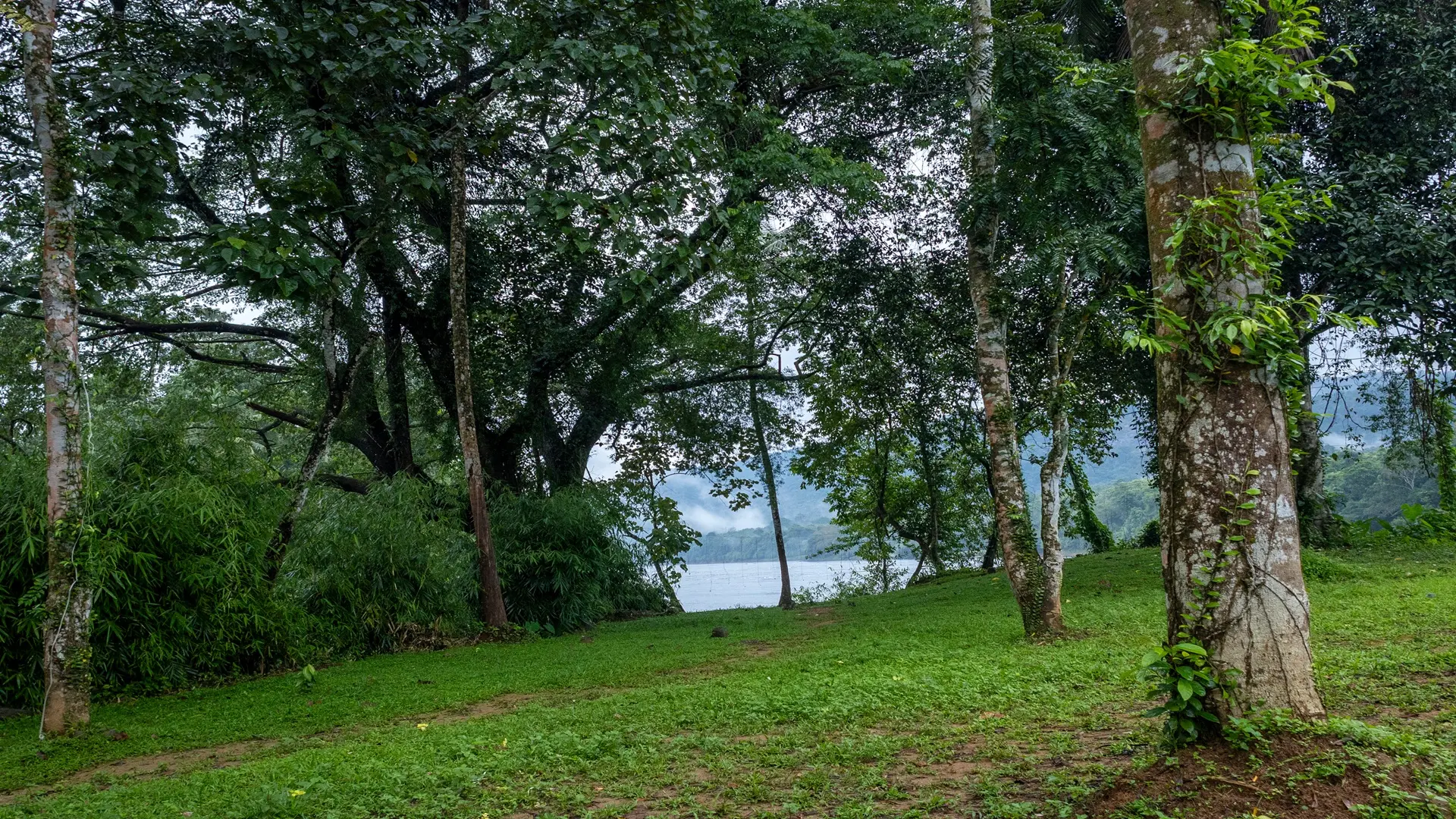 Resort view 6